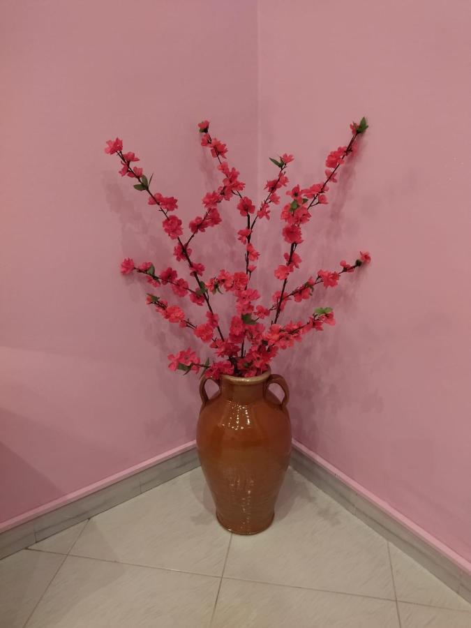 Nonno Ciccio Apartment ليتسانو المظهر الخارجي الصورة